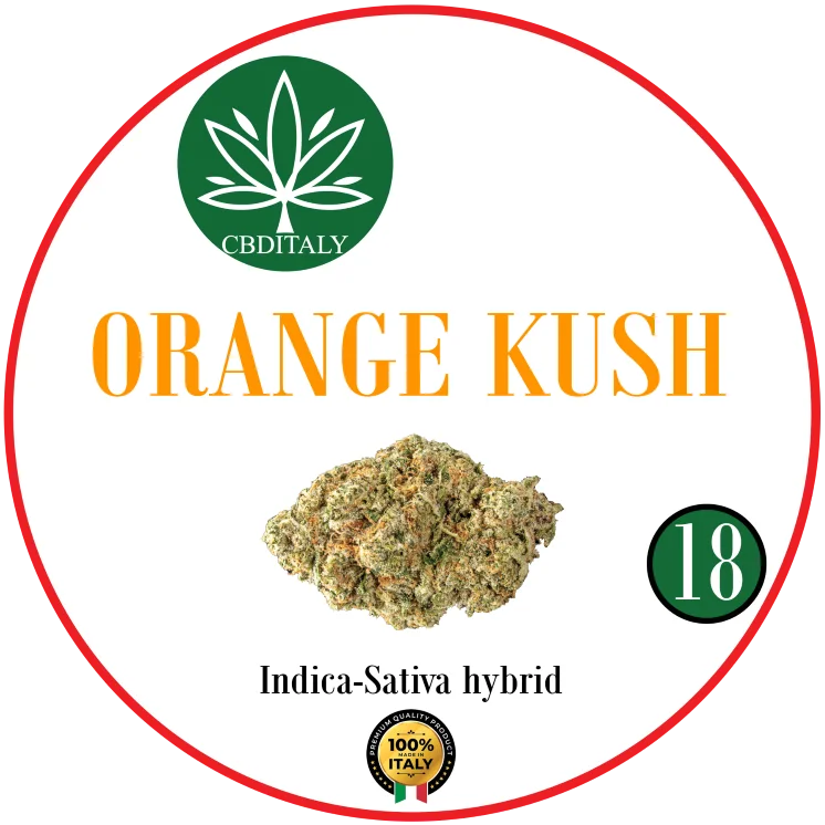 CBDITALY Orange Kush CBD 18% Indica-Sativa hibrido kanapių žiedo pumpuras, 100% Italija