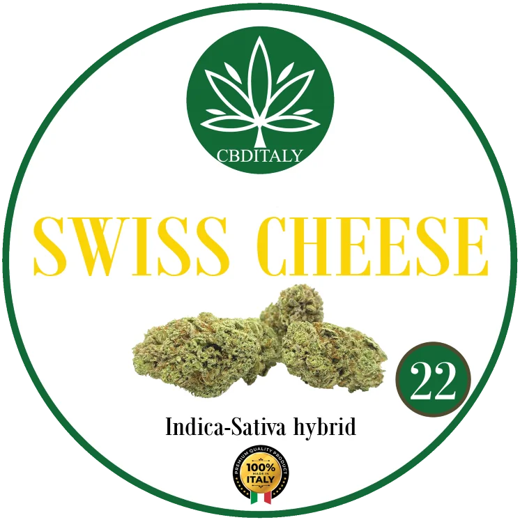 CBDITALY Swiss Cheese CBD 22% Indica-Sativa hibrido kanapių žiedo pumpuras, 100% Italija