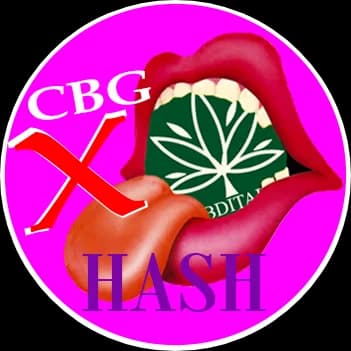 CBG X HASH