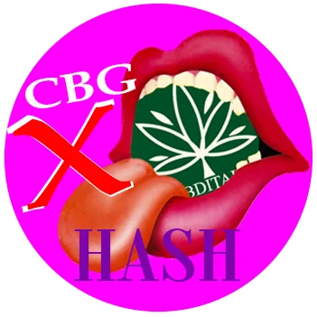 CBG X HASH Dutch Passion THCV 35% | CBDITALY