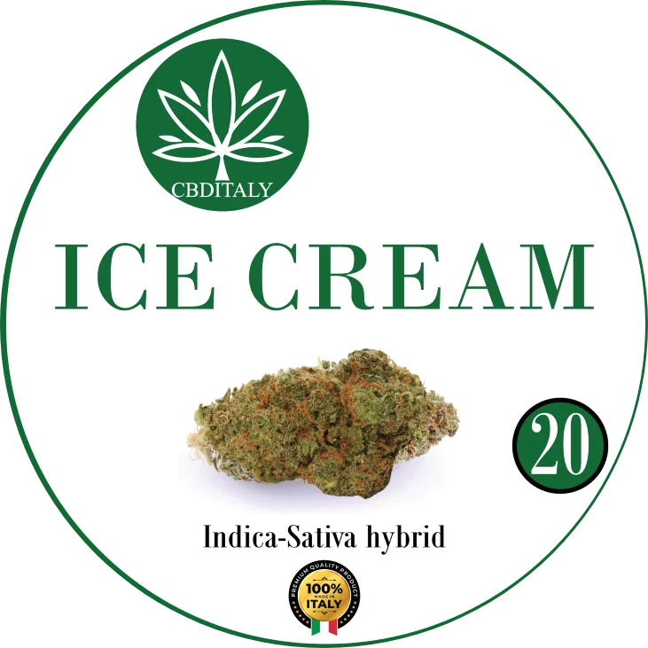 CBDITALY Ice Cream CBD 20% Indica-Sativa hibrido kanapių žiedo pumpuras, 100% Italija