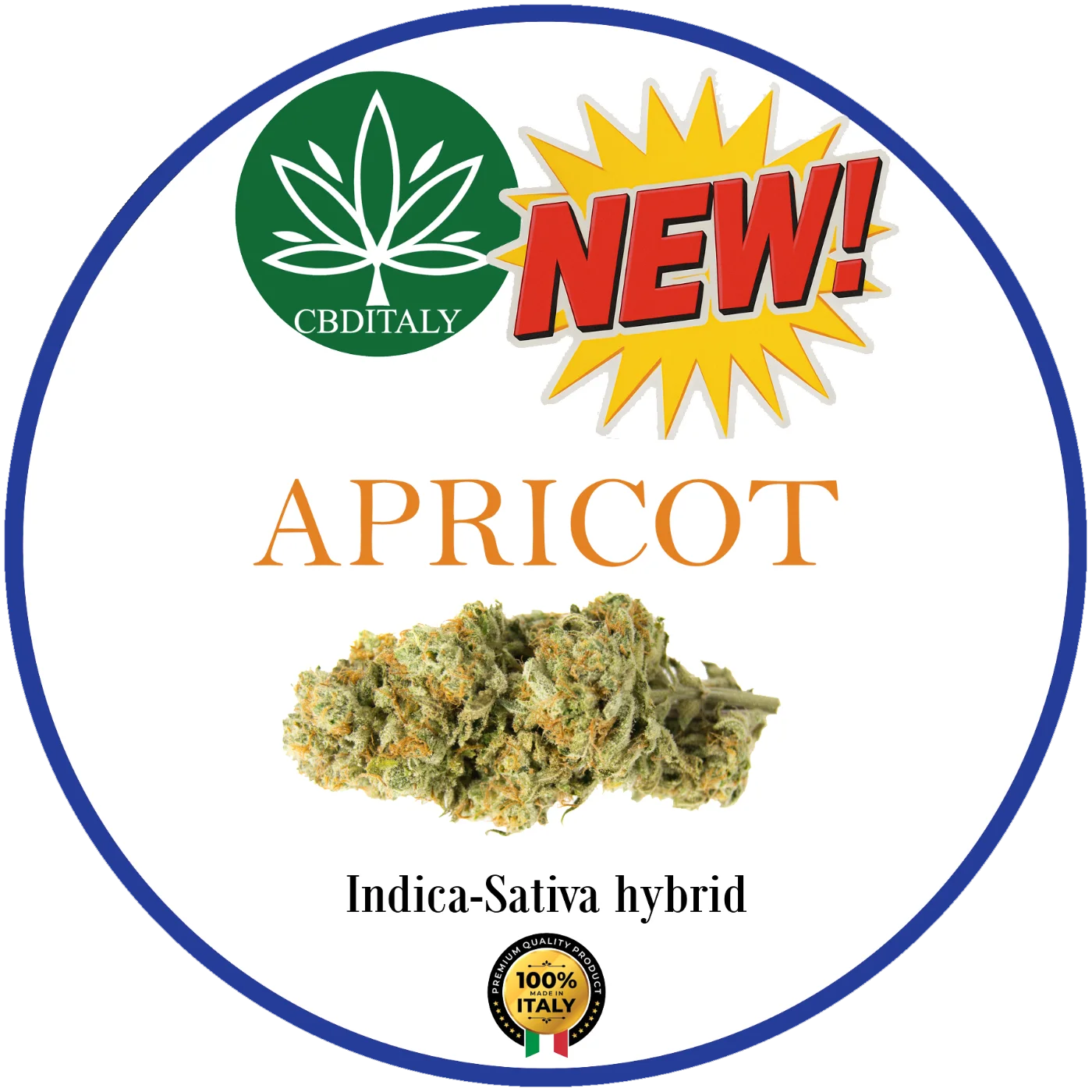 CBDITALY Apricot CBD 21% naujas Indica-Sativa hibridinės kanapės žiedas iš Italijos