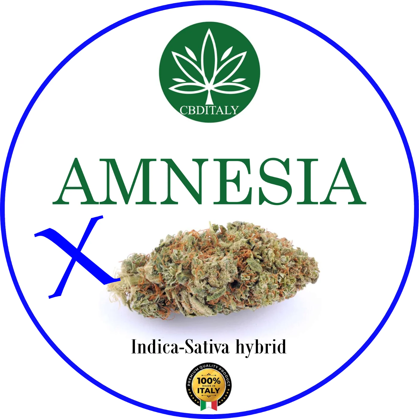 CBDITALY Amnesia CBD – pailgas Indica-Sativa hibrido kanapių žiedas su gintariniais plaukeliais, 100% pagamintas Italijoje