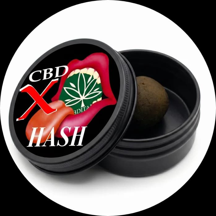 CBD X HASH