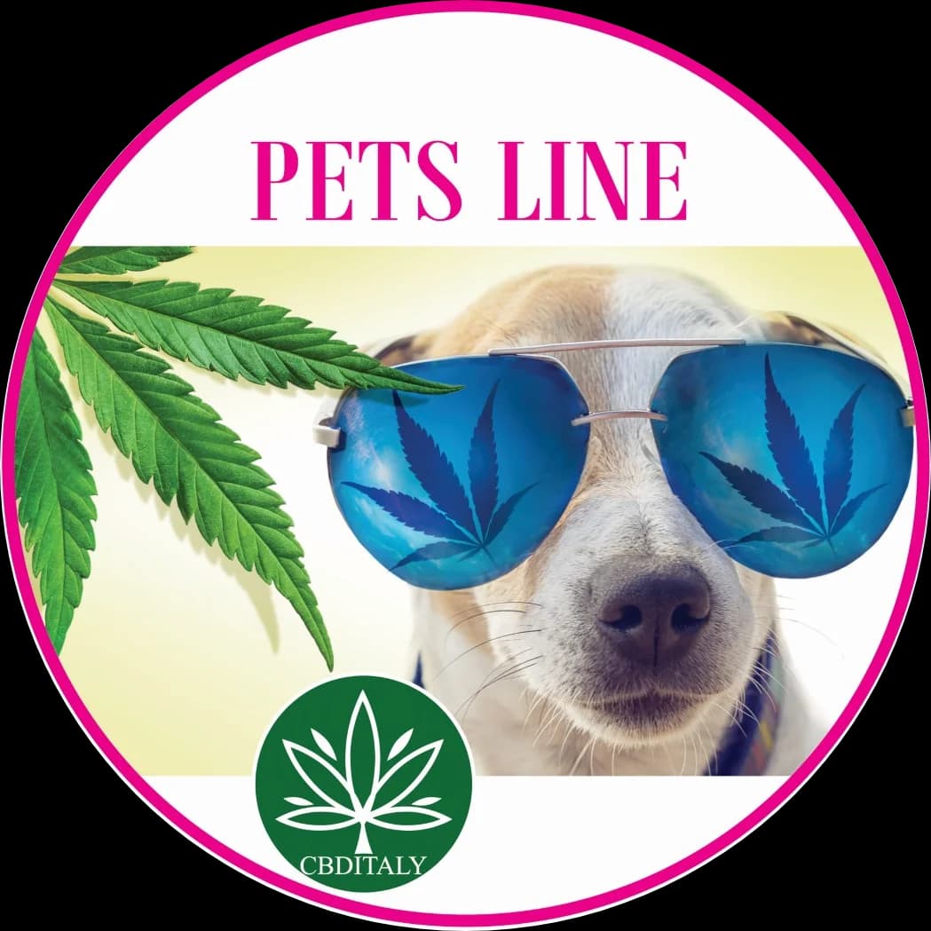 CBD-CBDA RAW viso spektro lašišų aliejus 6%, PETS LINE