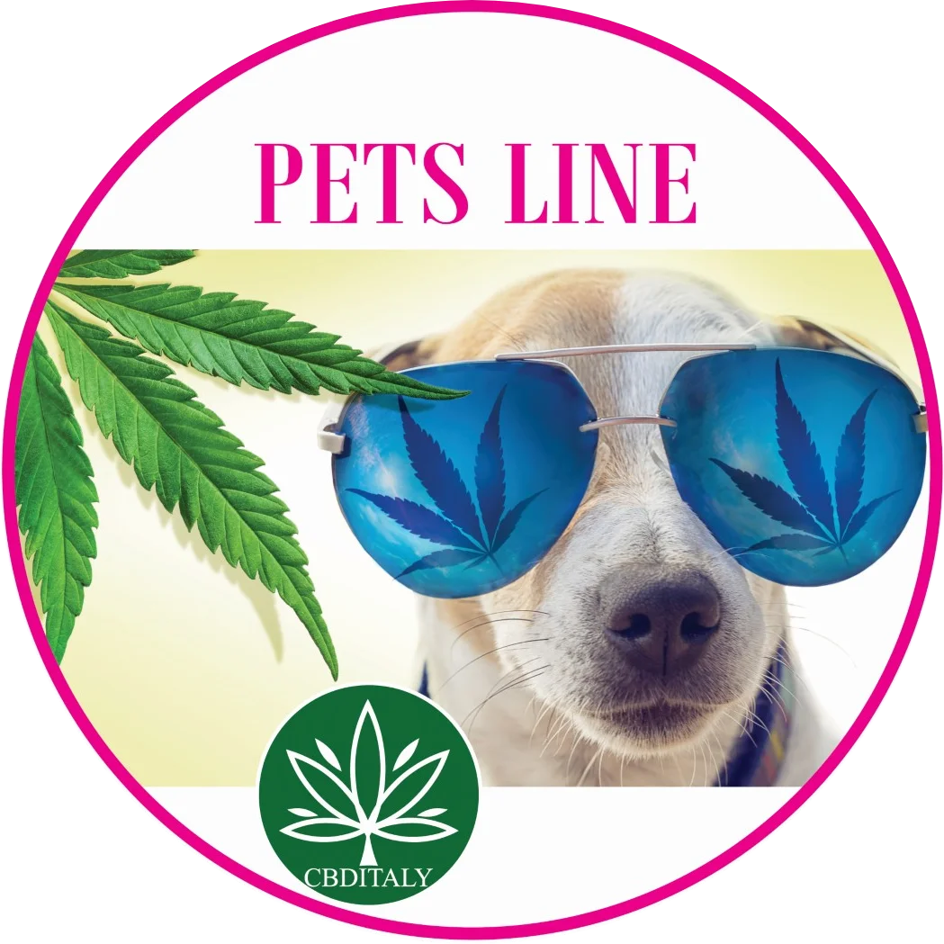 CBDITALY Pets Line kategorija – šuo akiniais su kanapių lapu, CBD wellness papildai augintiniams