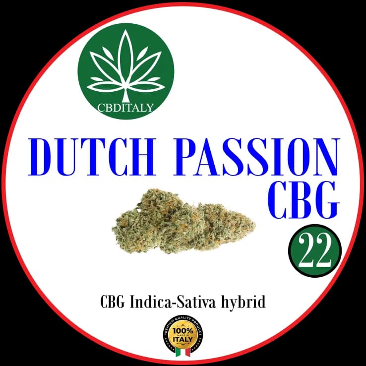 DUTCH PASSION CBG 22%