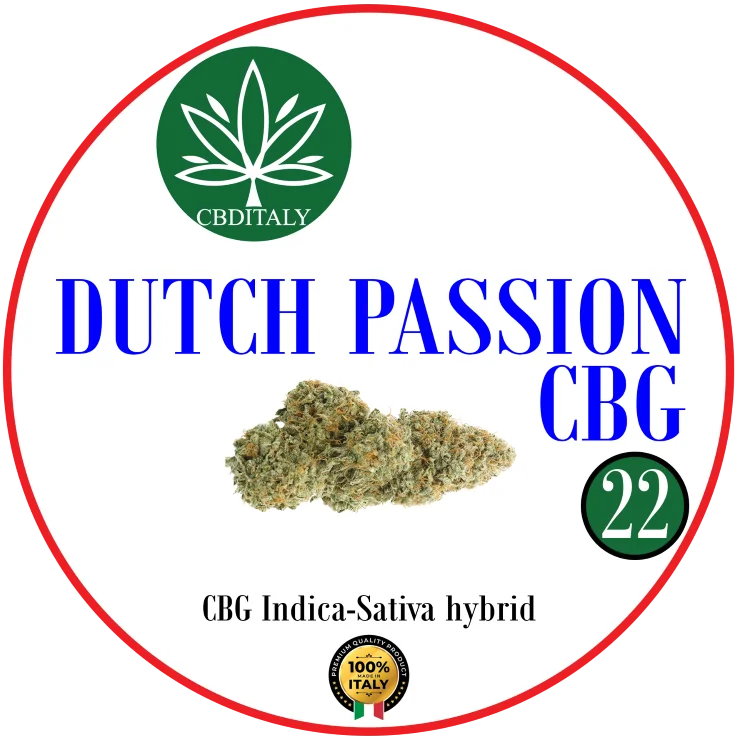CBDITALY Dutch Passion CBG 22% Indica-Sativa hibrido kanapių žiedo pumpuras, 100% Italija